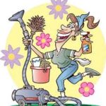 schoonmaak